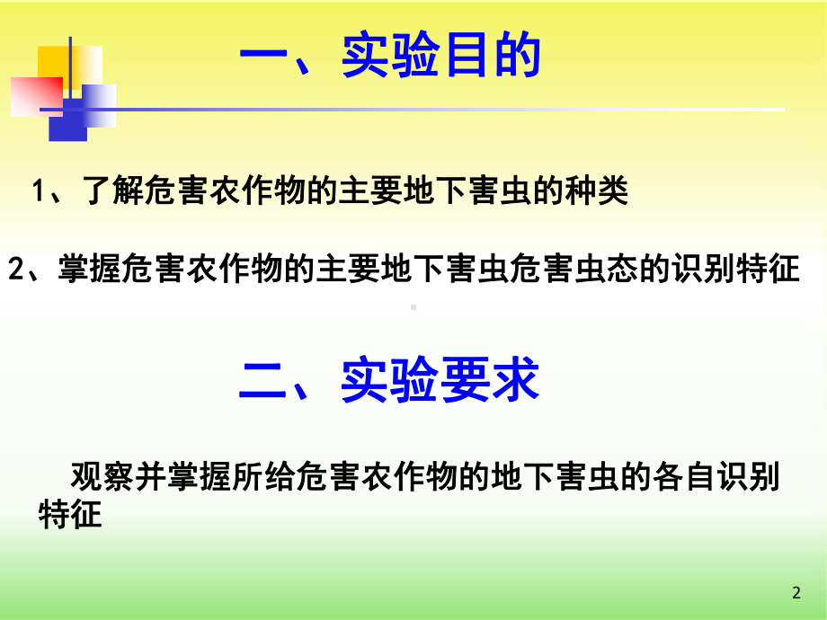 地下害虫(农业昆虫实验课)课件.ppt_第2页