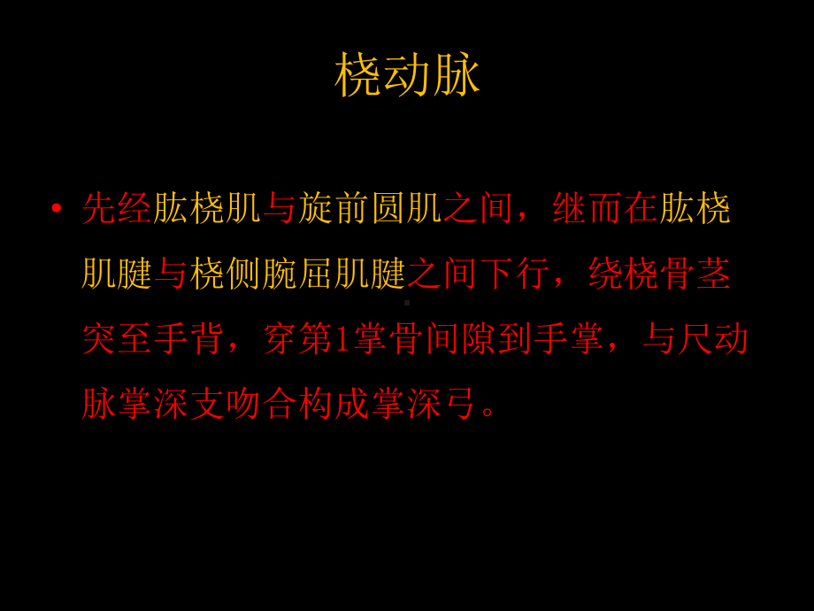 前臂血管神经课件.ppt_第3页