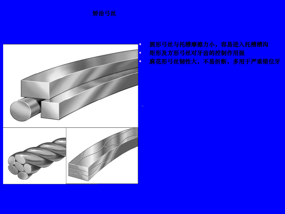 口腔正畸基础学--课件.ppt_第3页