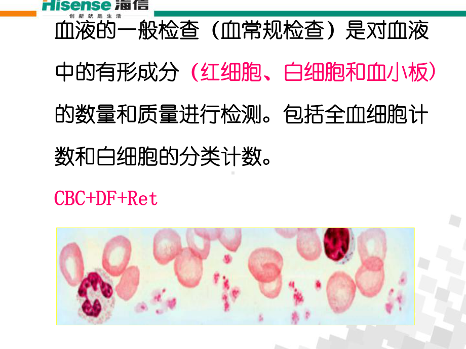 医学血常规检查及其意义医生解读培训课件.ppt_第2页