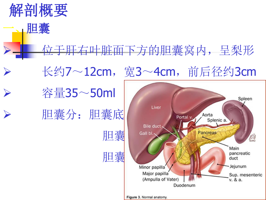 医学课件-急性胆囊炎胆道引流管的护理课件.ppt_第3页