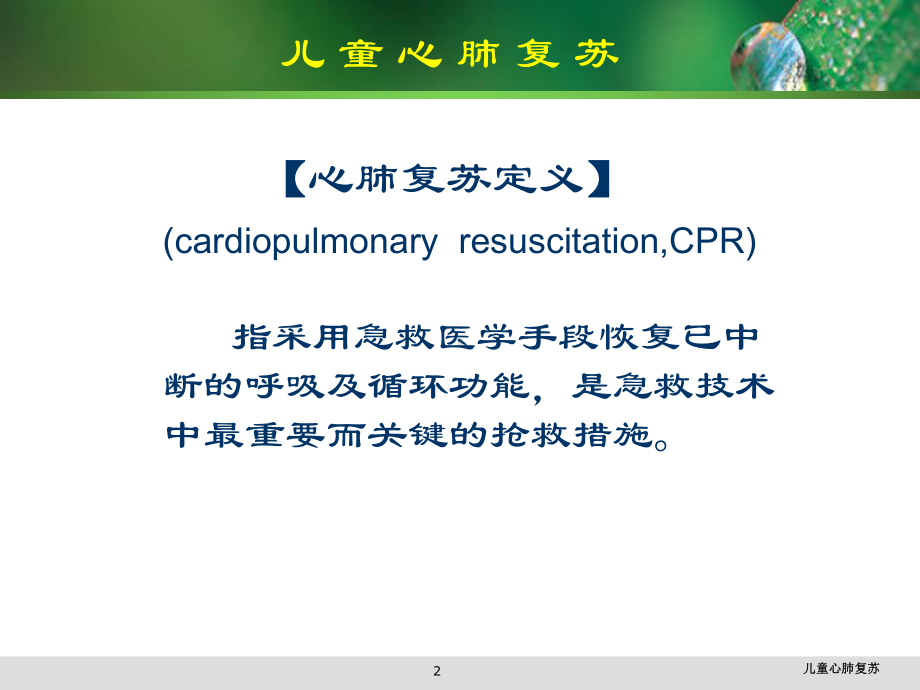 儿童心肺复苏培训课件.ppt_第2页