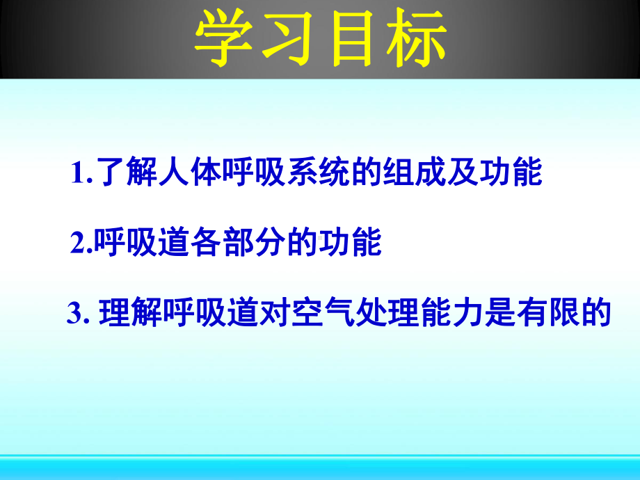 呼吸道对空气的处理课件-2.pptx_第2页