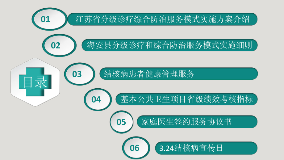 基层结核病分级诊疗综合服务模式暨结核患者健康管理服务培训课件.ppt_第2页