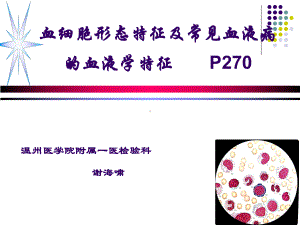 修改血细胞形态特征及常见血液病的血液学特征教学课件.ppt