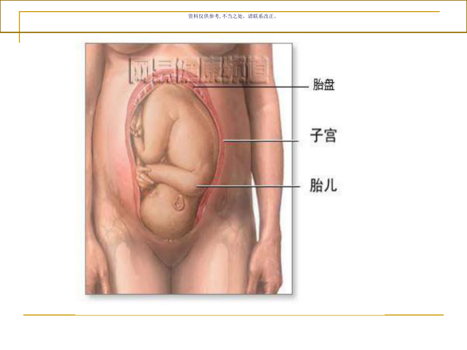 孕期营养与安全分娩课件.ppt_第2页