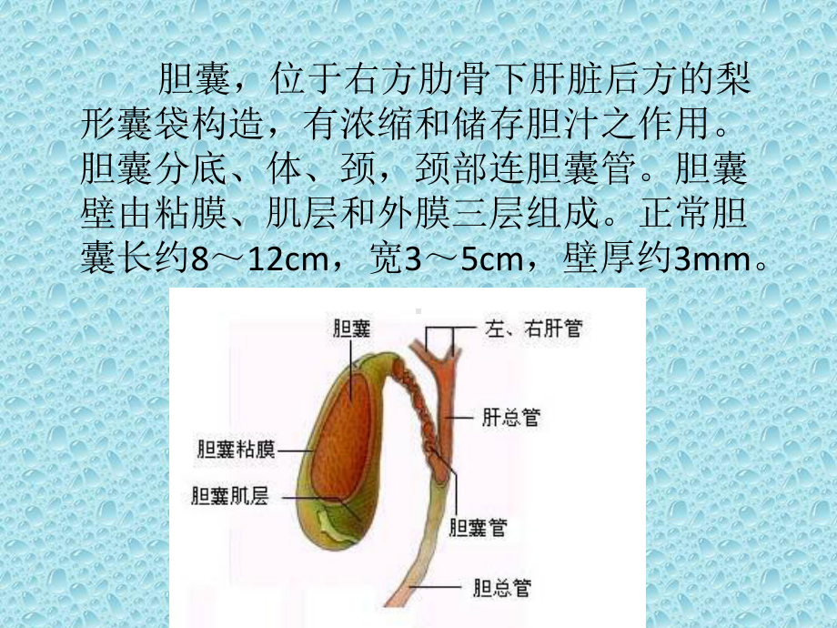 医学课件胆囊壁增厚影像诊断.ppt_第1页