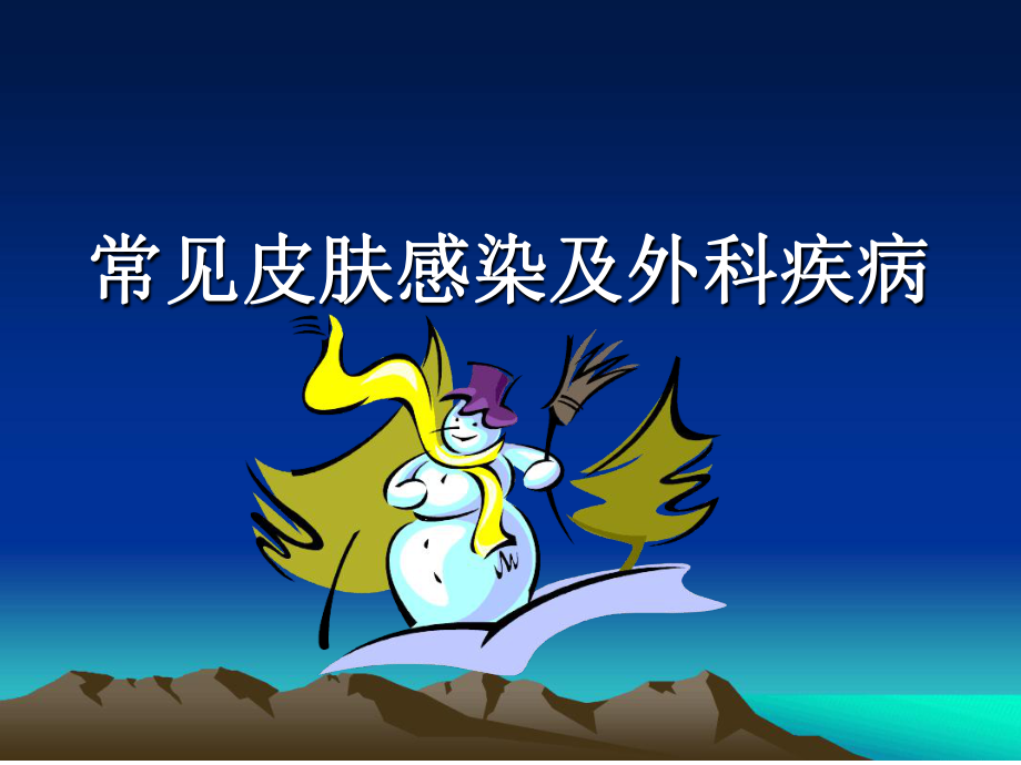 大副船上医护皮肤感染课件.ppt_第1页