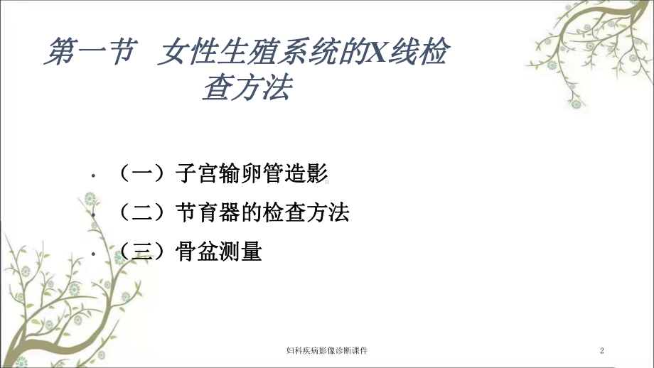 妇科疾病影像诊断课件.ppt_第2页