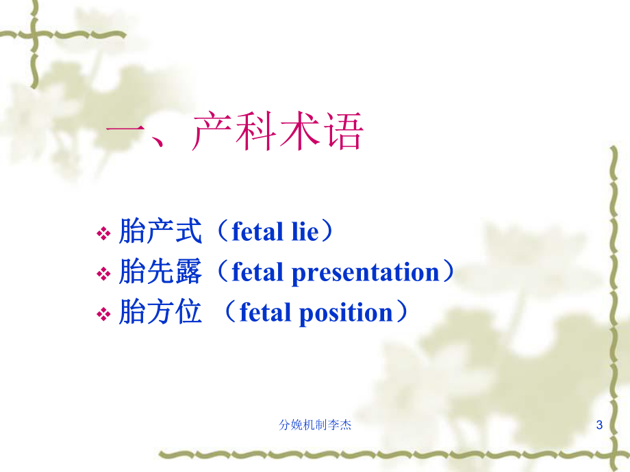 分娩机制培训课件.ppt_第3页