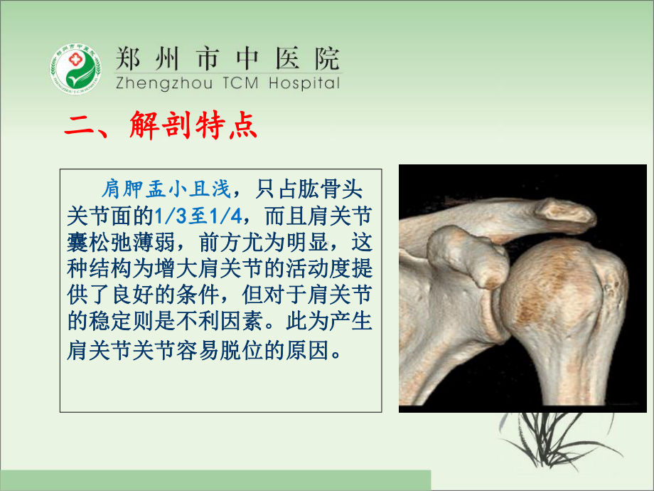 医学课件肩关节脱位骨伤科.ppt_第2页