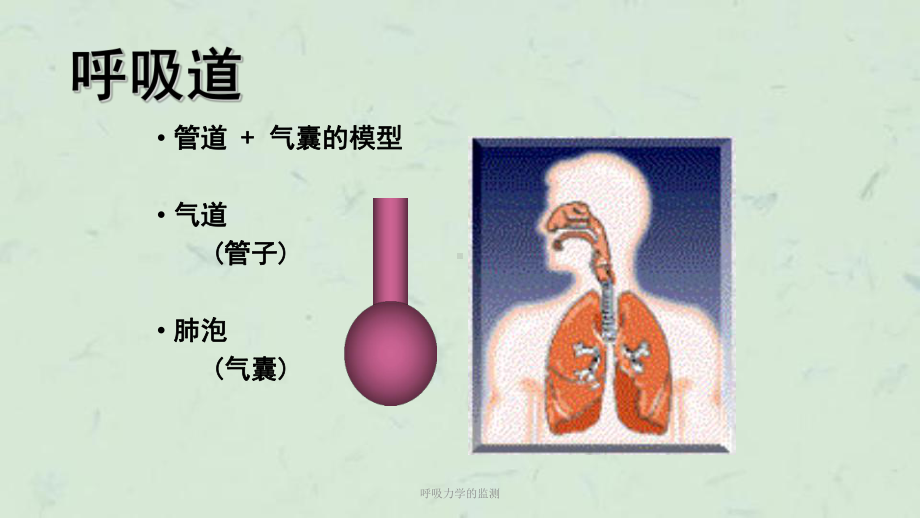 呼吸力学的监测课件.ppt_第2页