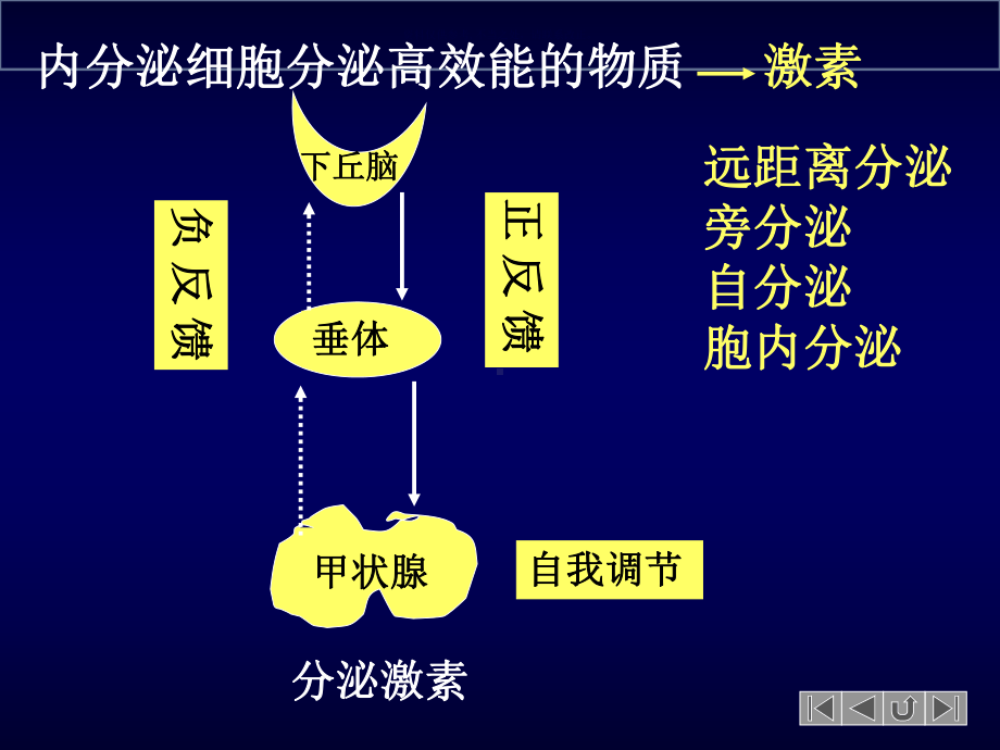 内分泌系统疾病课件.ppt_第3页