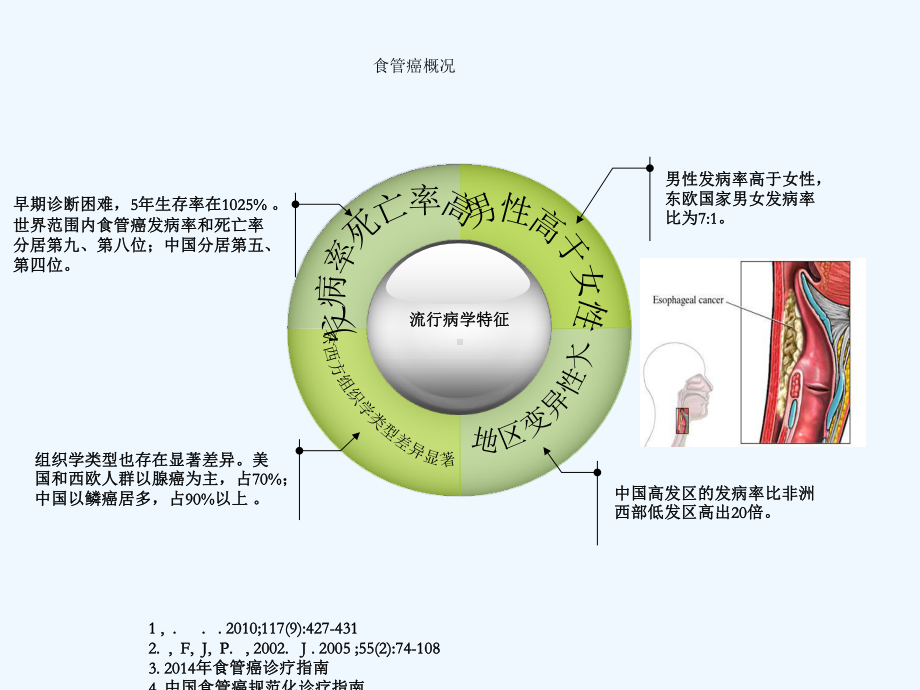 分子靶向治疗在食管癌中十年的进步课件.ppt_第2页