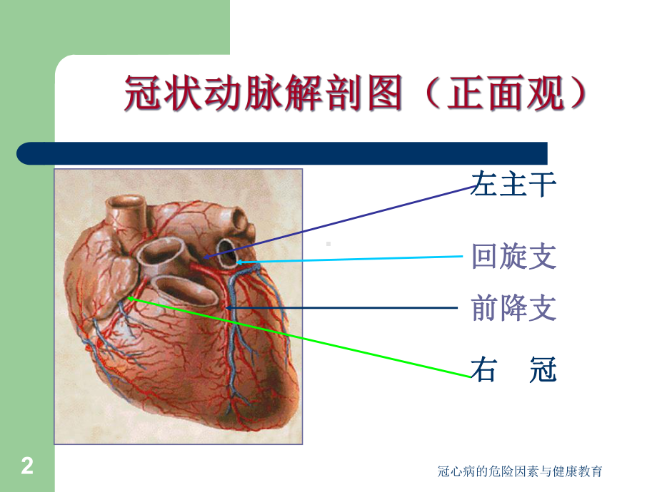 冠心病的危险因素与健康教育课件.ppt_第2页