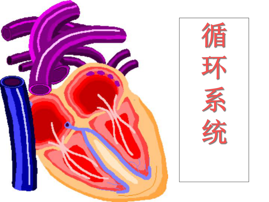 内科护理学-循环症状课件.ppt_第1页