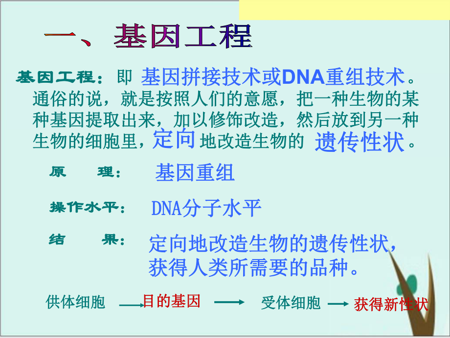 基因工程及其应用-课件完美版.ppt_第2页