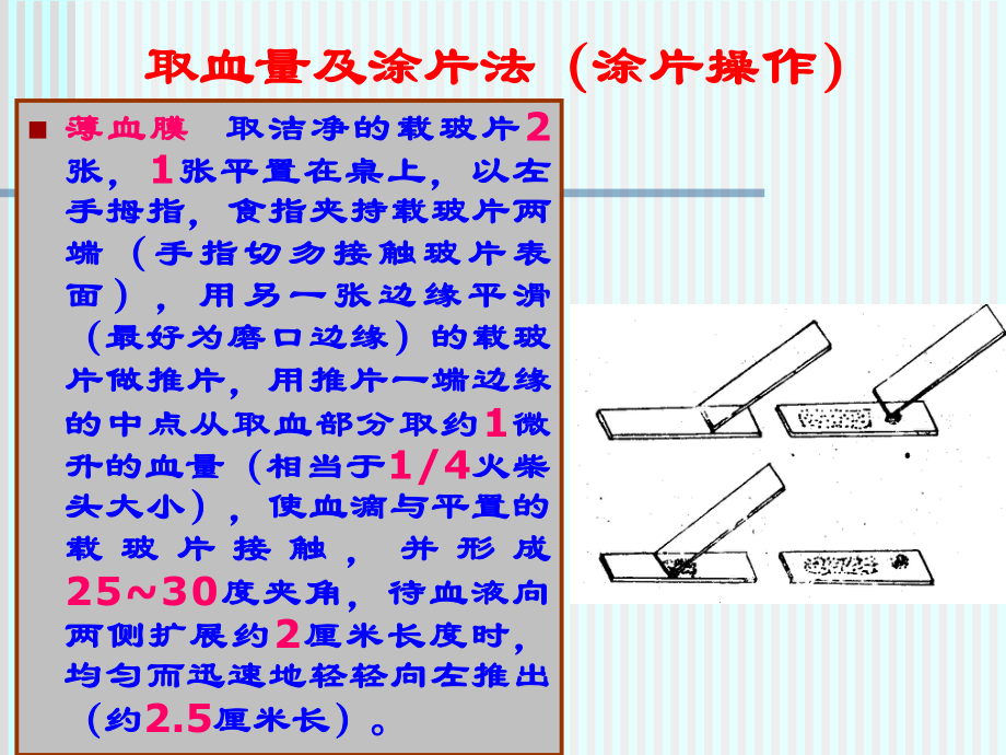 医学课件疟原虫血片制作方法.ppt_第3页