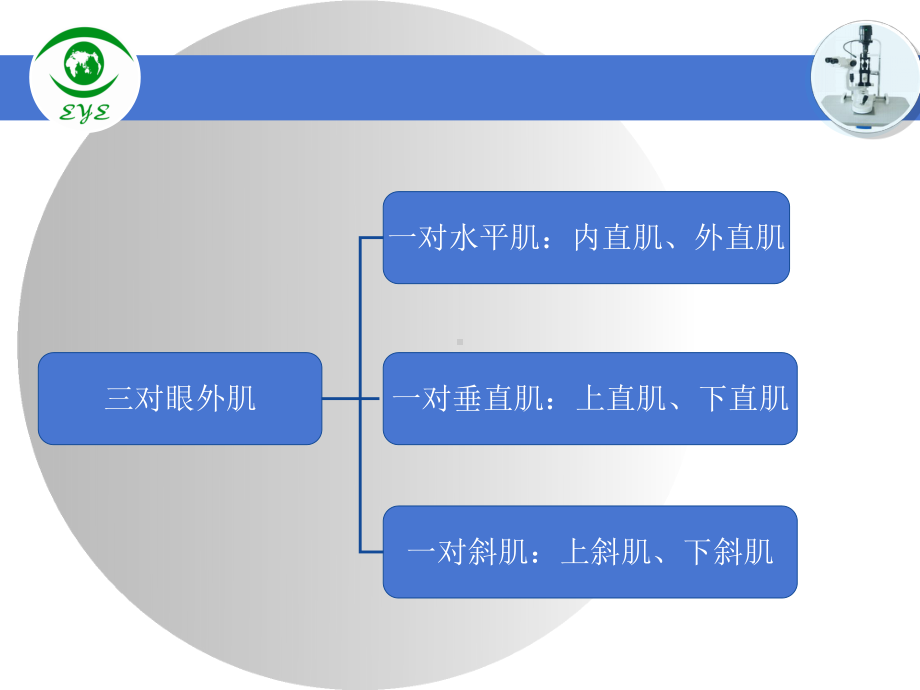 医学课件眼肌的解剖专业医学知识宣讲.ppt_第1页