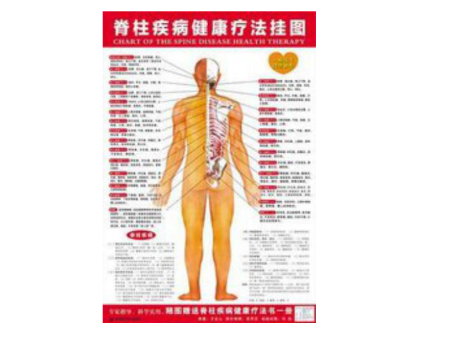 史上最全脊柱与疾病关系并附歌诀课件.ppt_第3页