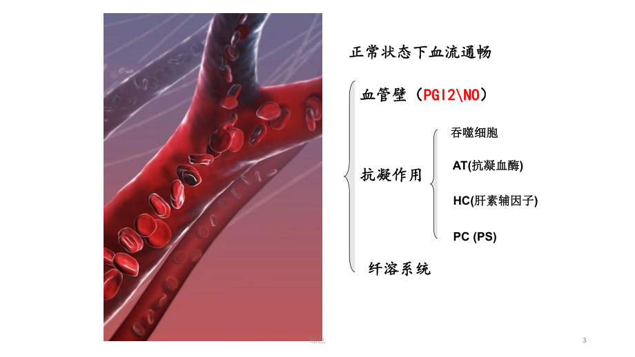 凝血功能相关理解(行业浅析)课件.ppt_第3页