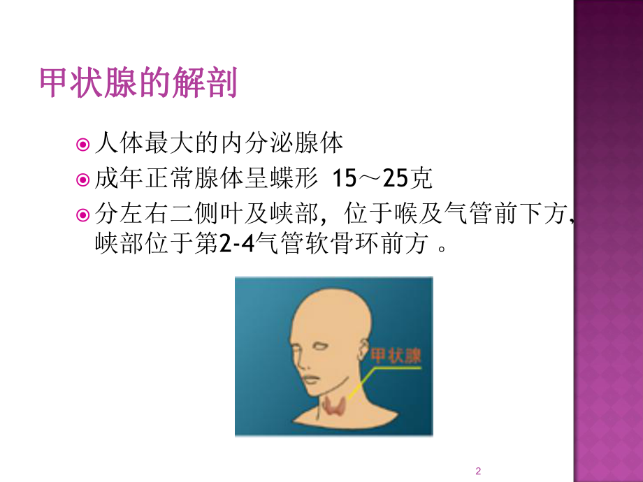 内科学课件甲亢课件.ppt_第2页