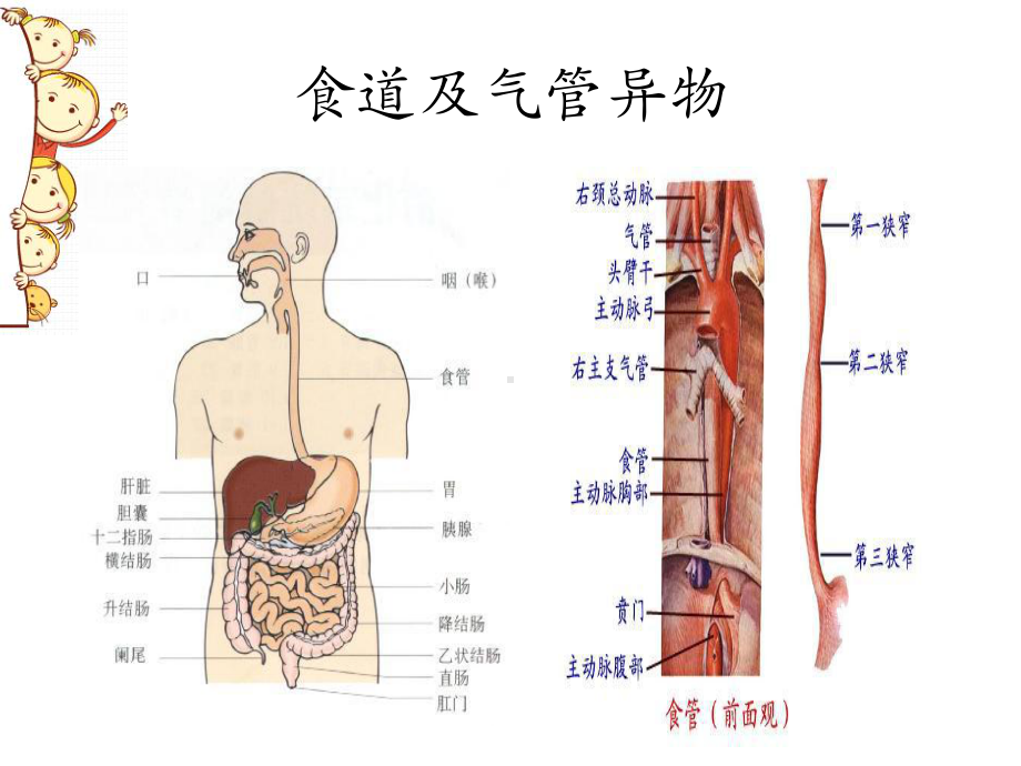 儿科常见病与预防(儿童保健)课件.pptx_第2页