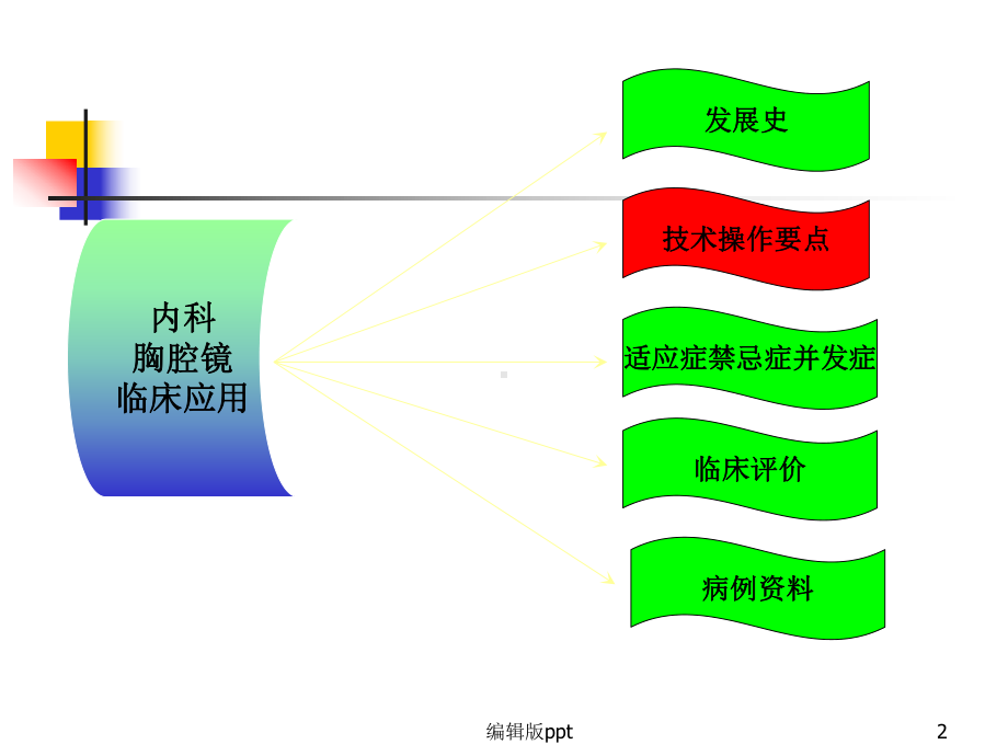 内科胸腔镜在肺部诊疗中的作用课件.ppt_第2页