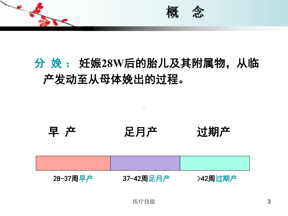 孕妇学校：正常分娩(医疗研究)课件.ppt_第3页