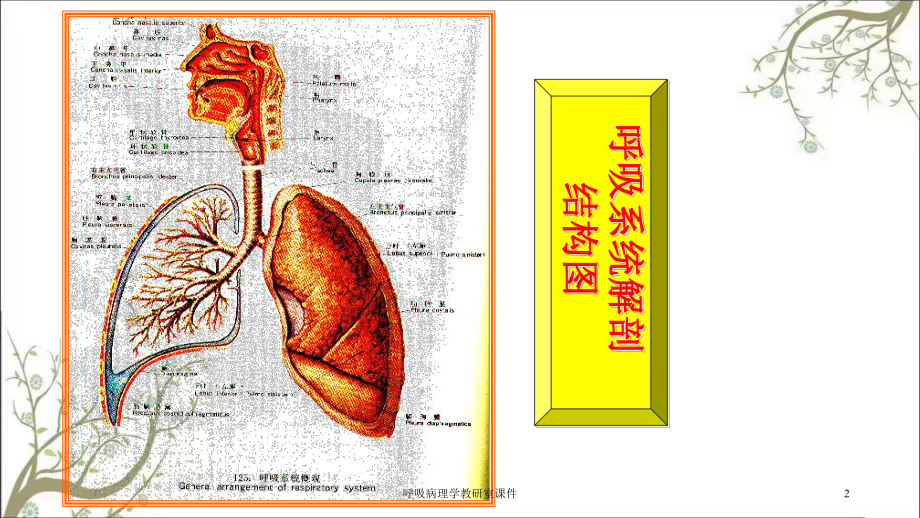 呼吸病理学教研室课件.ppt_第2页