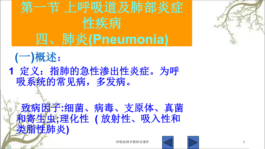 呼吸病理学教研室课件.ppt_第3页