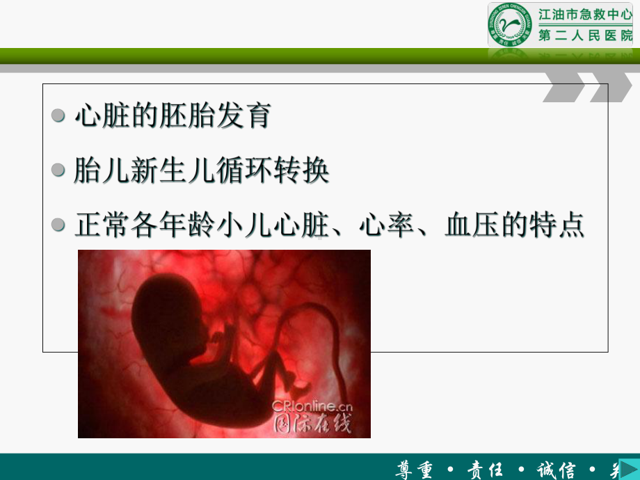 医学小儿循环系统解剖特点教材培训课件.ppt_第2页