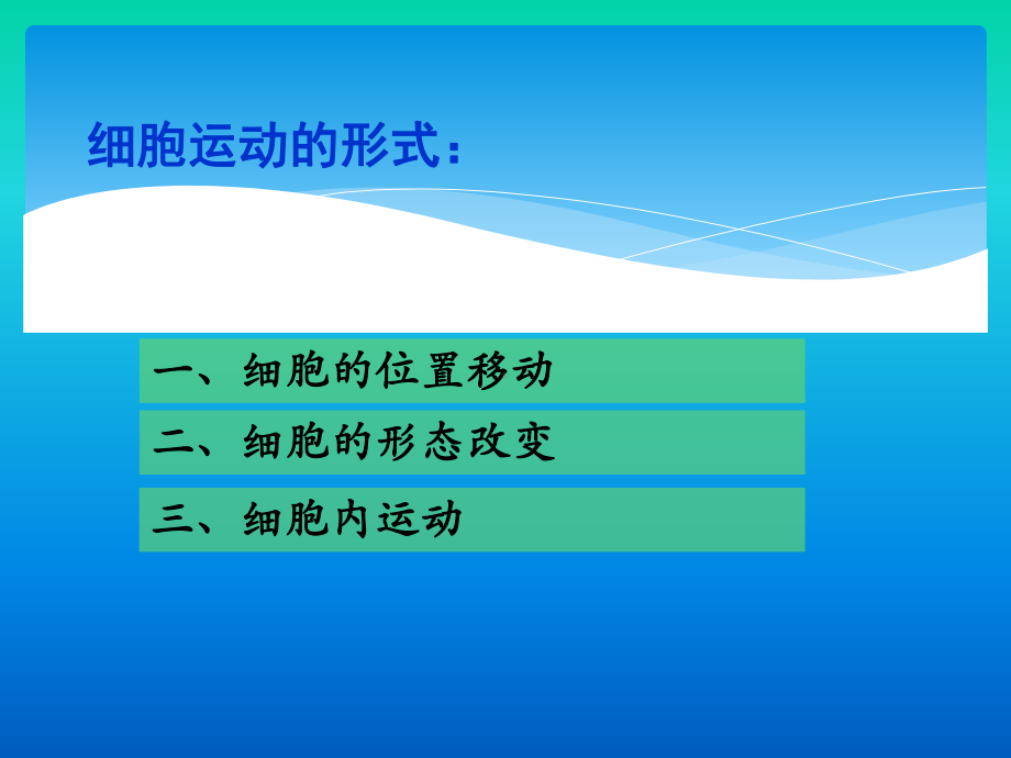 医学细胞生物学细胞运动课件.ppt_第3页