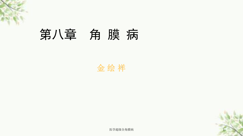 医学超级全角膜病课件.ppt_第1页