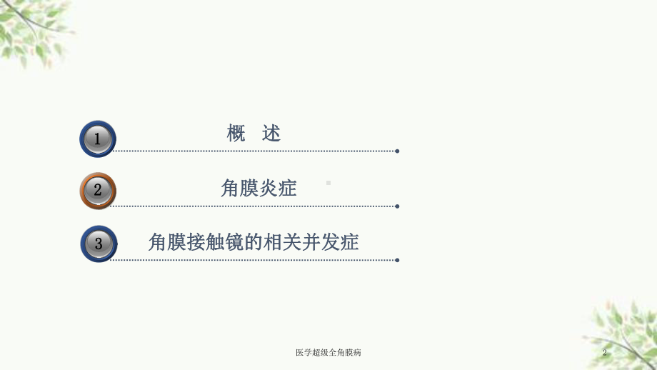 医学超级全角膜病课件.ppt_第2页