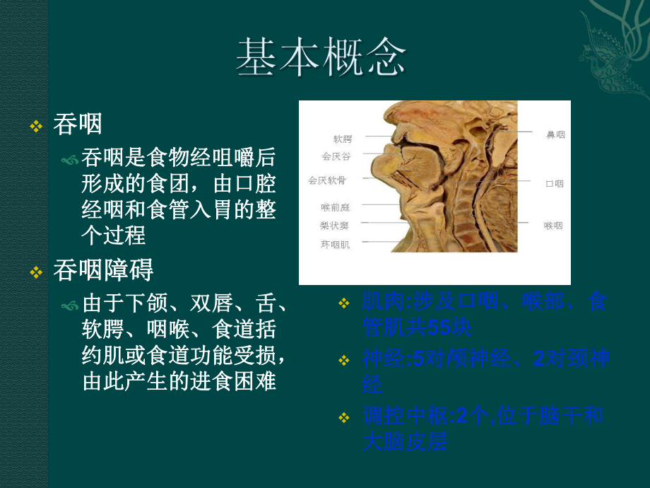 修改吞咽障碍的评价与治疗课件.ppt_第3页