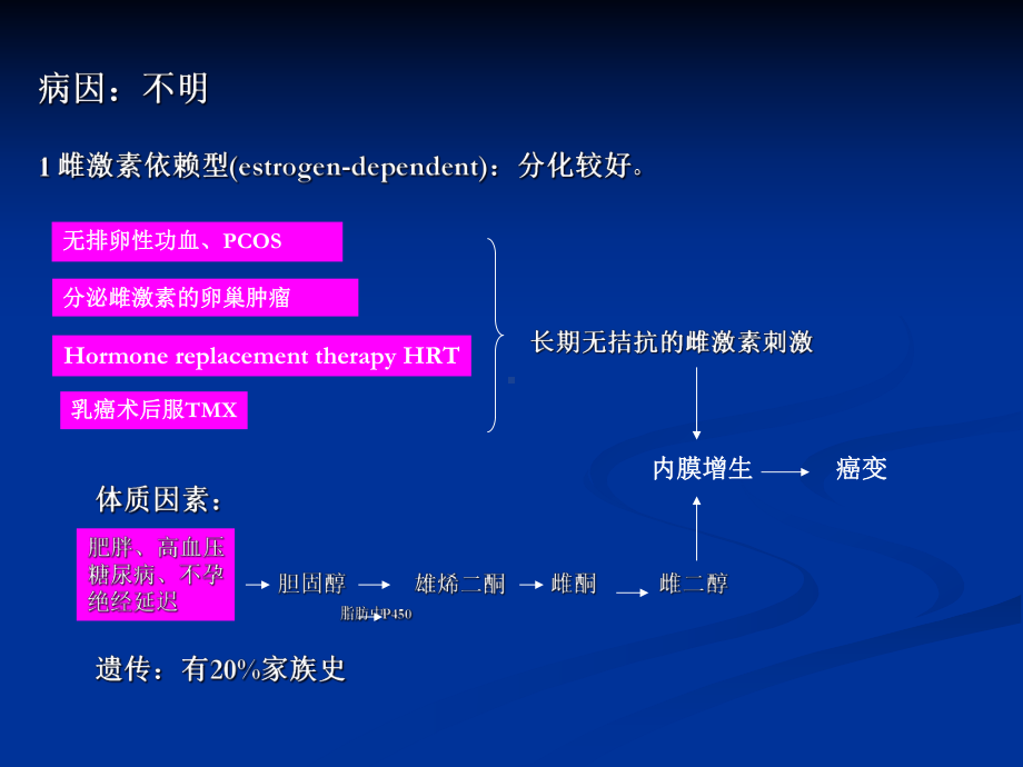 子宫内膜癌医学课件.ppt_第3页