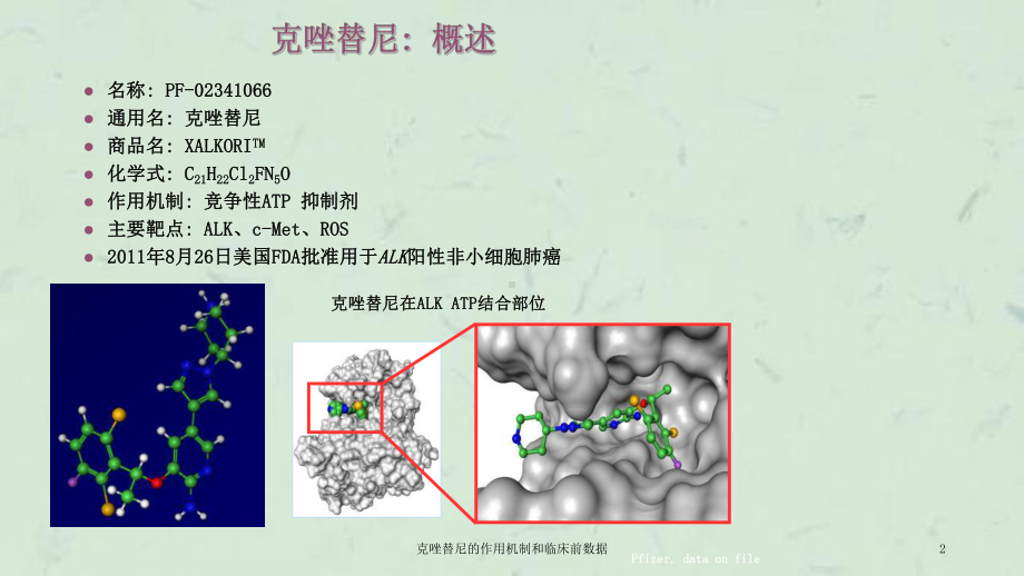 克唑替尼的作用机制和临床前数据课件.ppt_第2页