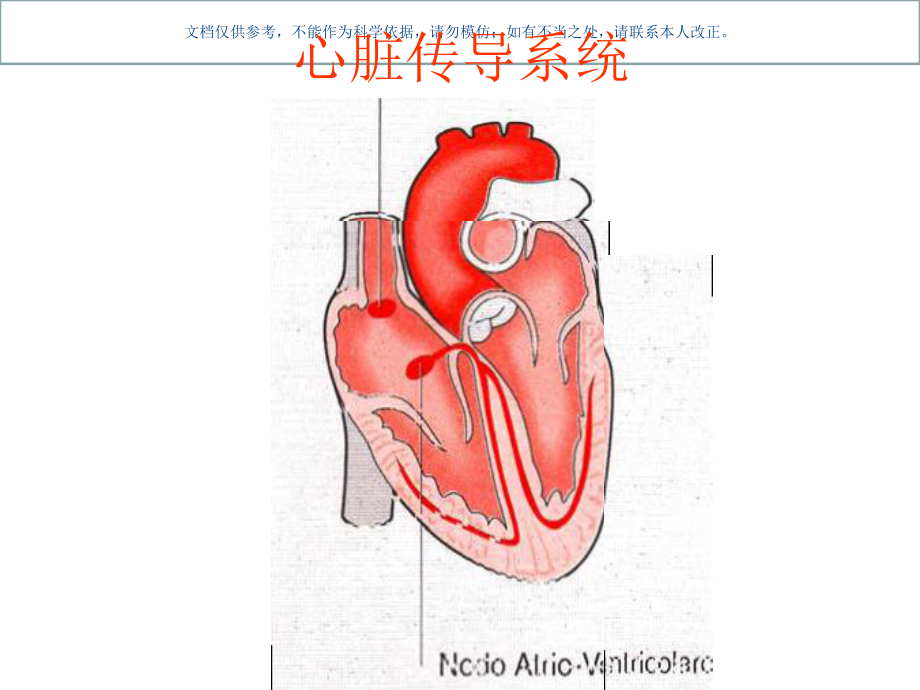 学习心电图窍门和ICU病人常见心电图特点课件.ppt_第3页