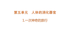 5.1 一次神奇的旅行 ppt课件-2022新大象版四年级上册《科学》.pptx