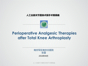 人工全膝关节置换术围手术期镇痛课件.pptx