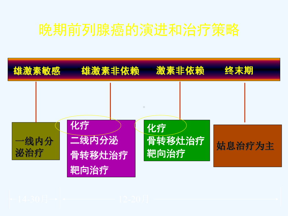 前列腺癌的化疗课件.ppt_第2页