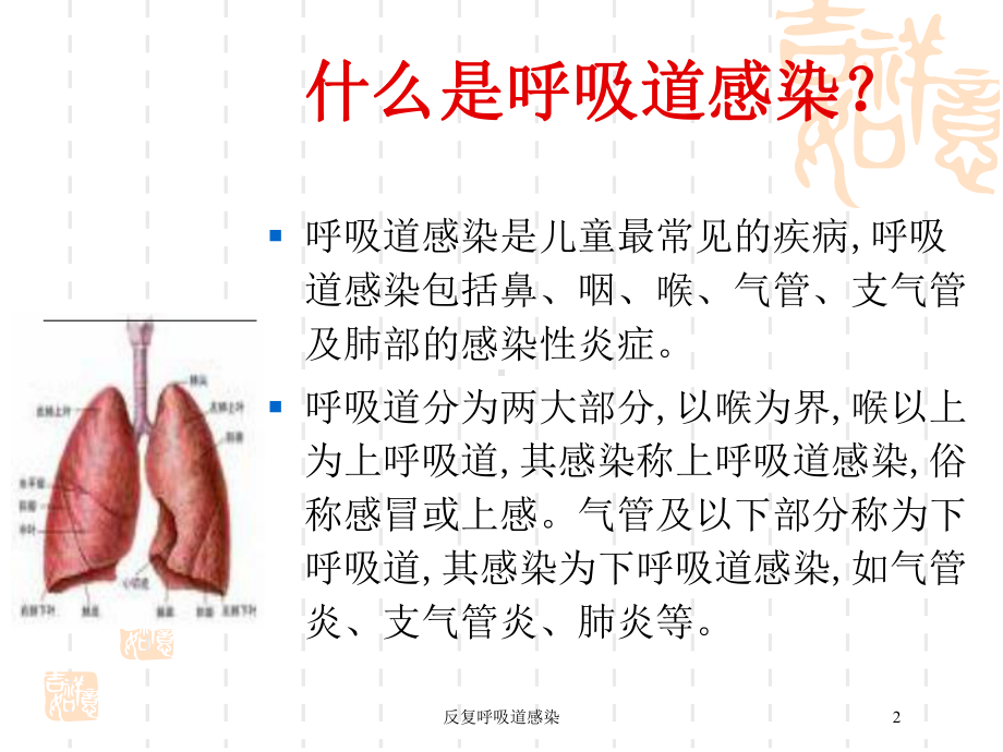 反复呼吸道感染培训课件.ppt_第2页