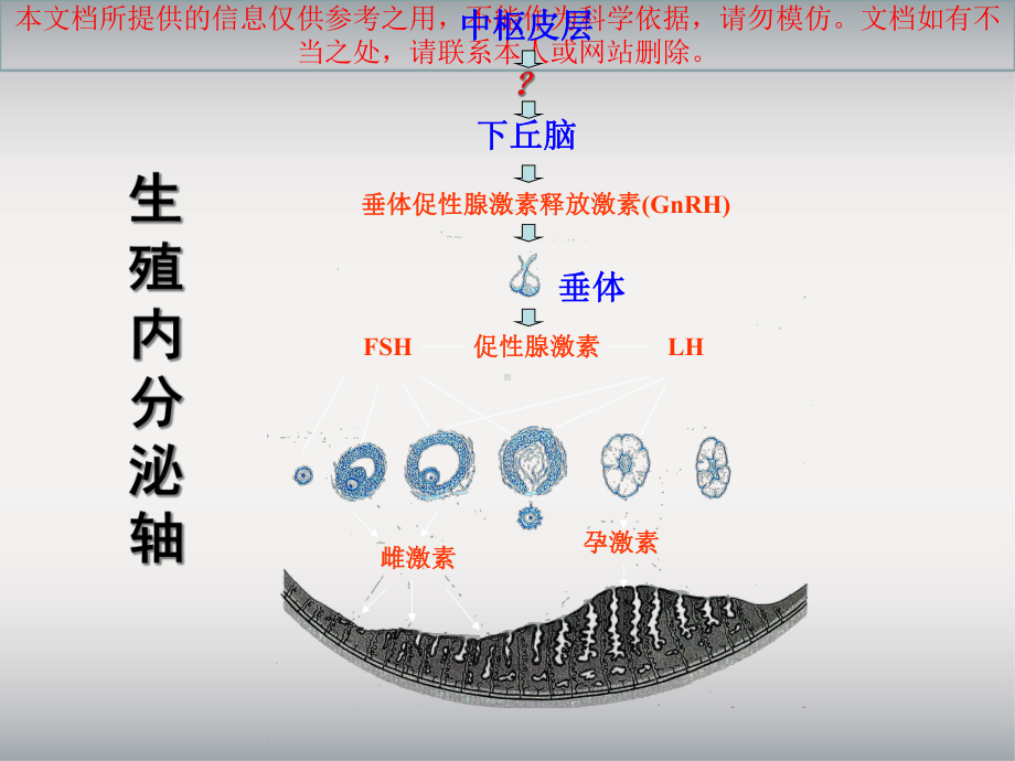 功能失调性子宫出血的病人的护理查房专题知识宣讲培训课件.ppt_第3页