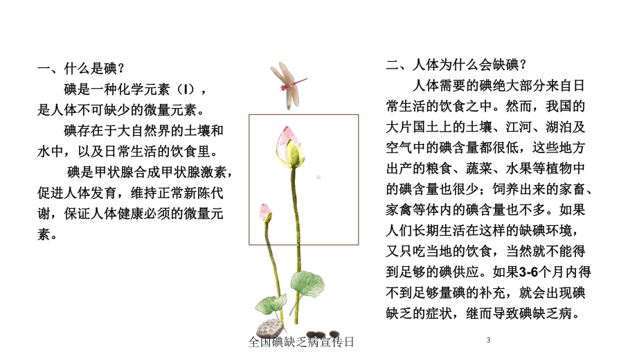 全国碘缺乏病宣传日培训课件.ppt_第3页