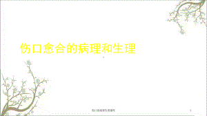 伤口的病理生理课件.ppt