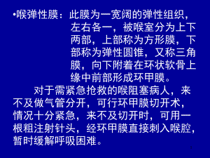 医学课件-喉弹性膜课件.ppt