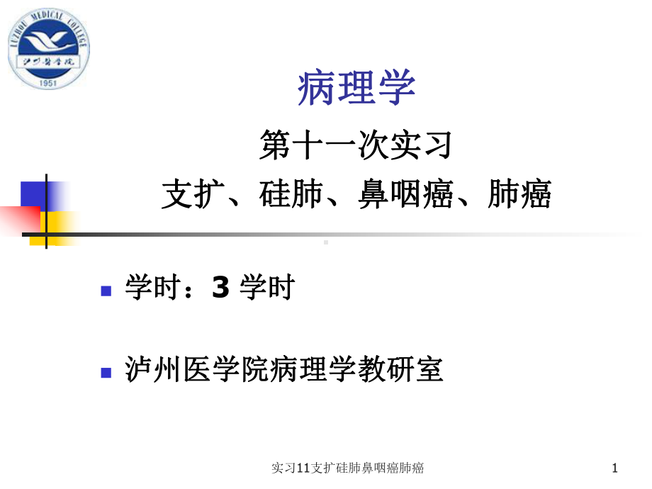 实习11支扩硅肺鼻咽癌肺癌课件.ppt_第1页