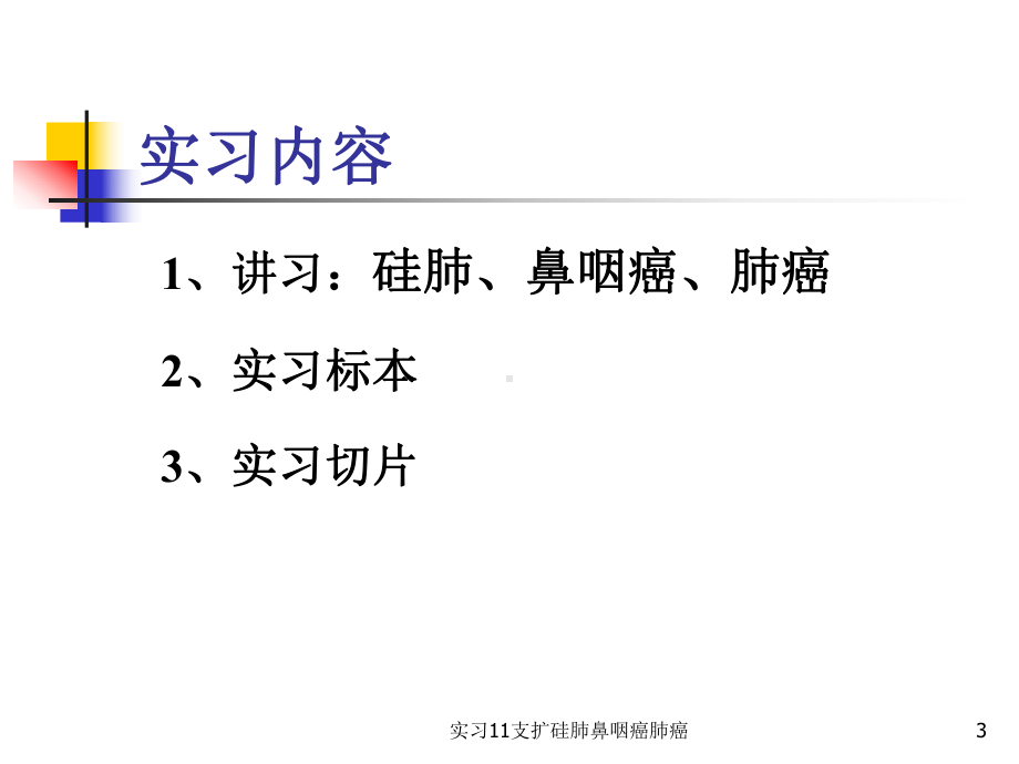 实习11支扩硅肺鼻咽癌肺癌课件.ppt_第3页