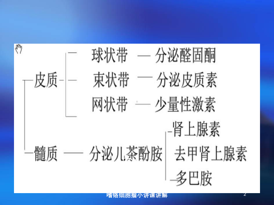 嗜铬细胞瘤小讲课讲解培训课件.ppt_第2页